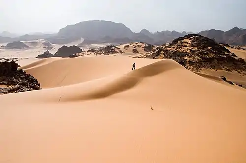 Image 8Tadrart Acacus desert in western Libya, part of the Sahara (from Conservation biology)