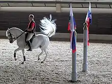 Image 10Lipizzaner (from Culture of Austria)
