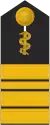 Flottillenarzt