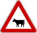 Domestic animals