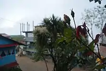 School buildings