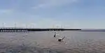 Pier