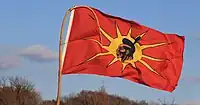 Mohawk Warrior Society flag at Beyond NoDAPL March on Washington, DC.