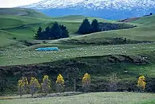 Image 41Rural landscape close to Mt Ruapehu (from Geography of New Zealand)