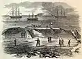 USS Cumberland (right) with the frigate USS Congress at Newport News Point, 1862