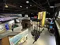 Level 6 The Living Earth