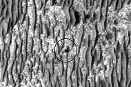 Opportunity (circled) as seen by HiRISE on January 29, 2009. Endeavour Crater is 17&nbsp;km (11&nbsp;mi) away.