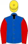 Royal blue, red sleeves, yellow cap