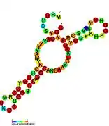 P10: Secondary structure taken from the Rfam database. Family RF01668