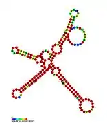 P27: Secondary structure taken from the Rfam database. Family RF01674