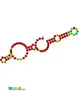 P31: Secondary structure taken from the Rfam database. Family RF01676