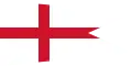 Commodore distinction white squadron 1674