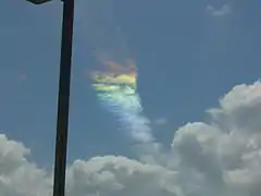 Photographed near Kennedy Space Center, Florida