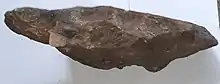 Rock sample, conglomeratic facies, collected on Imba Aradom