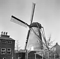 The mill and its surrounding buildings