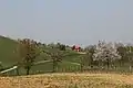 Rovni - panorama