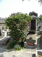 Graves