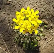 In Osage County, Oklahoma