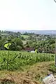 Belosevac - panorama