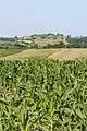 Paune - panorama