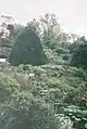  Rockery and pond