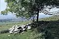 St Colman's Well
