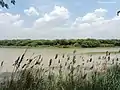 Sanctuary's view from Midway of Sukhna lake , Chandigarh