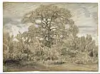 Study of an Oak Tree, c. 1857-1867, drawing in black and white chalk on paper, Museum of Fine Arts, Houston