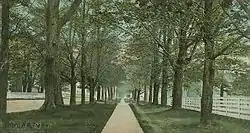 The Mall c. 1906