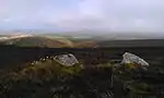 The Whit Stones: two standing stones 230&nbsp;m west of Whitstone Post