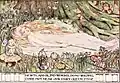 A fairy sleeps on a forest floor. Text below reads "Newts, and blind-worms, do no wrong; come not near our fairy queen"