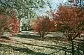 The grounds of Adsmore Museum.