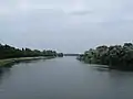 The Rhine near Marckolsheim