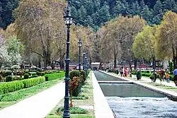 Verinag-The Colors