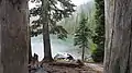Fir trees dominate the landscape around Wasco Lake.